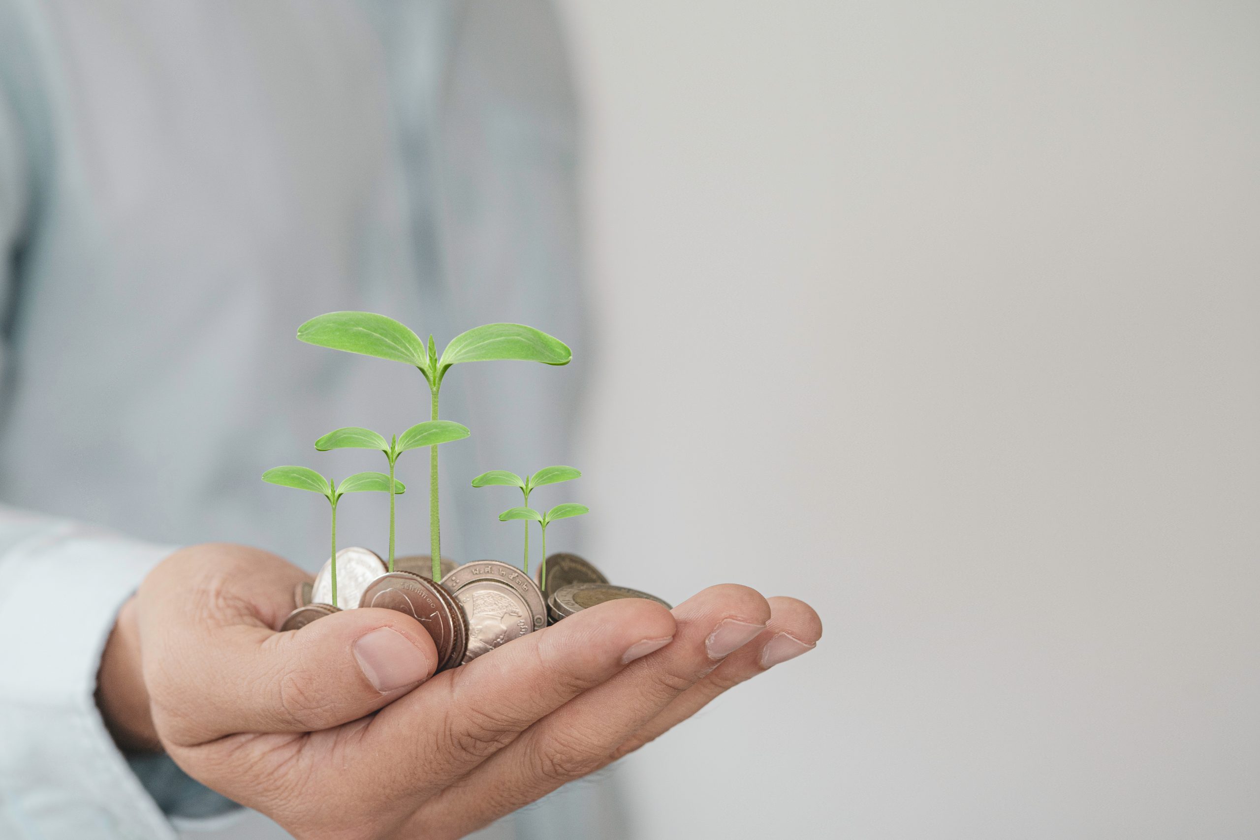 EIB and Iberdrola ink €100 million loan for photovoltaic plant in Italy ...